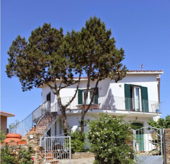 Il Ginepro Di Stintino Bed and Breakfast Exteriör bild
